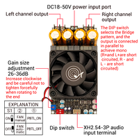 WUZHI ses 3002 saf sonrası sahne dijital hoparlör amplifikatör modülü kurulu ses modülü TPA3255 Stereo 300WX2 köprü Mono 600W