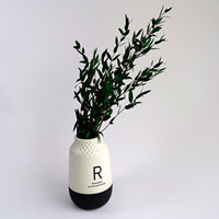 Eucalyptus séché et fleurs séchées pour la décoration intérieure, feuilles vertes naturelles pour les célébrations de Noël et de remise des diplômes, respectueux de l'environnement