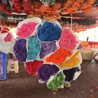 Lovebay coloré véritable gypsophile conservé 120g en gros naturel longue durée préservé Babys souffle fleurs pour la décoration de mariage