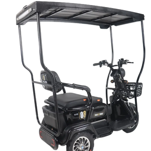 จีนโรงงานรถสามล้อพลังงานแสงอาทิตย์จักรยานไฟฟ้าที่มีหลังคา - Product Image 1