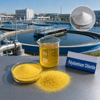 Chlorure de polyaluminium (PAC) 28 % Al2O3, floculant pour l'eau potable et le traitement des eaux usées industrielles