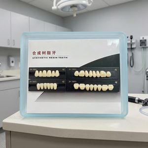 <span class=keywords><strong>CAIYU</strong></span> - Juego Completo de Dientes de Resina Acrílica Dental con Fuente de Alimentación Manual, Dentaduras Postizas, Dientes Artificiales, Certificación CE Clase I - Product Image 3