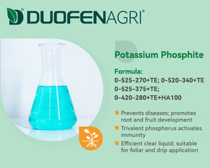 Mejor precio Fertilizante líquido <span class=keywords><strong>Fosfito</strong></span> de potasio para crecimiento - Product Image 6