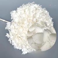 Vente directe d'usine, fleurs séchées au toucher réel, fleurs d'hortensia préservées, tiges de fleurs, décoration de mariage