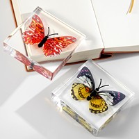 Bloc de spécimen de papillon en résine, presse-papiers insecte simulé, décoration de bureau, aide pédagogique scientifique, cadeau