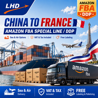 Services d'expédition Amazon DDP vers la France Transitaire maritime Agent de livraison Entrepôt FBA Consolidation Transport Conteneur