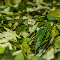 Sachets de thé triangulaires en feuilles de séné 100 % naturelles, personnalisables pour adultes, faible MOQ, support RTS - FitTree International Herbal