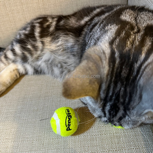 उच्च गुणवत्ता के पर्यावरण के अनुकूल कुत्ते खिलौना स्क्वीकी टेनिस बॉल चव खिलौना नवीनता रबर डिजाइन खेलने के लिए बैग में पैक किया गया - Product Image 5