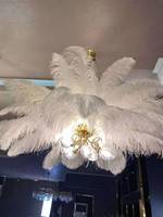 Grandes Plumes d'Autruche Blanches pour Carnaval, Festivals, Mariages, Décorations de Fête, Fourniture Naturelle en Gros, Vente Pas Chère, Motif Lavé