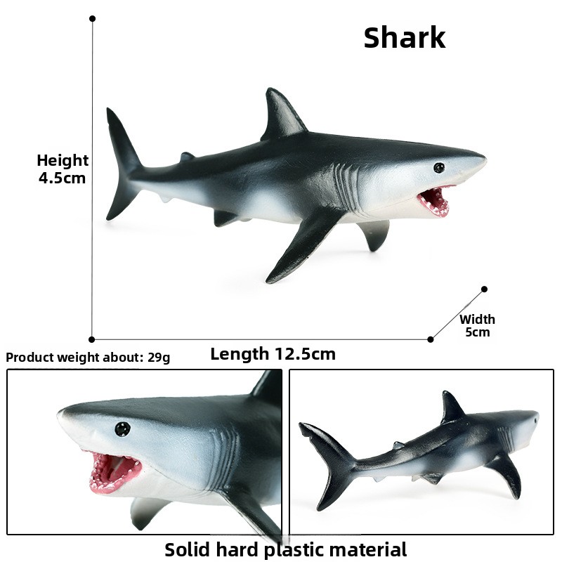 Requin-4041