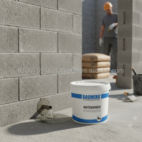 Ciment à base de ciment, matériau imperméable à fixation rapide (prise d'eau)