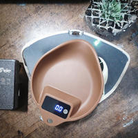 Balance de cuisine numérique portable compacte 2 kg 0,1 g avec minuterie, chargement USB Type-C, corps en ABS, pour café et herbes aromatiques