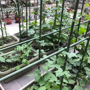 Vente en gros de piquets en acier revêtus de plastique pour plantes grimpantes, piquets en métal pour plantes - Product Image 5