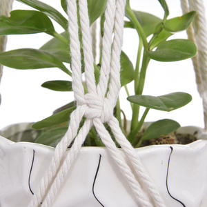 Maceta Colgante de <span class=keywords><strong>Cuerda</strong></span> de Cáñamo Tejida Multiusos H507, Colgador de Plantas <span class=keywords><strong>para</strong></span> <span class=keywords><strong>Colgar</strong></span> en la Pared, Cesta Colgante de <span class=keywords><strong>Cuerda</strong></span> de Algodón, Maceta <span class=keywords><strong>para</strong></span> Flores - Product Image 6