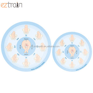 Rueda de Posición Fetal de PVC para Educación Médica, Demostración del Proceso de <span class=keywords><strong>Parto</strong></span> - Product Image 2