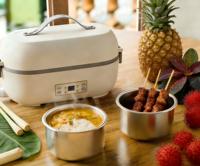 Boîte à lunch électrique portable en acier inoxydable de 2 L, petits appareils électroménagers, 4 compartiments, chauffe-aliments 300 W