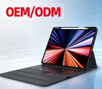 Nouveau Clavier Promotionnel OEM Fournisseur Or Magic-USB-C Rétroéclairé RGB avec Trackpad pour iPad Pro 12,9 pouces HL100-ip129