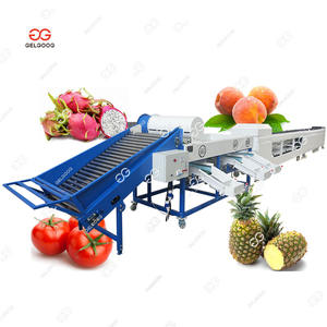 Máquina Clasificadora de Frutas y Cítricos Comercial para Jackfruit, Máquina Clasificadora y Pesadora de Frutas de 6 Carriles para Tomate - Product Image 1
