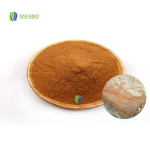 SLBIO fournit de la poudre de Dunaliella Salina de qualité alimentaire, extrait de Dunaliella Salina à 2%, 3%, 5%, 8% de bêta-carotène - Product Image 2