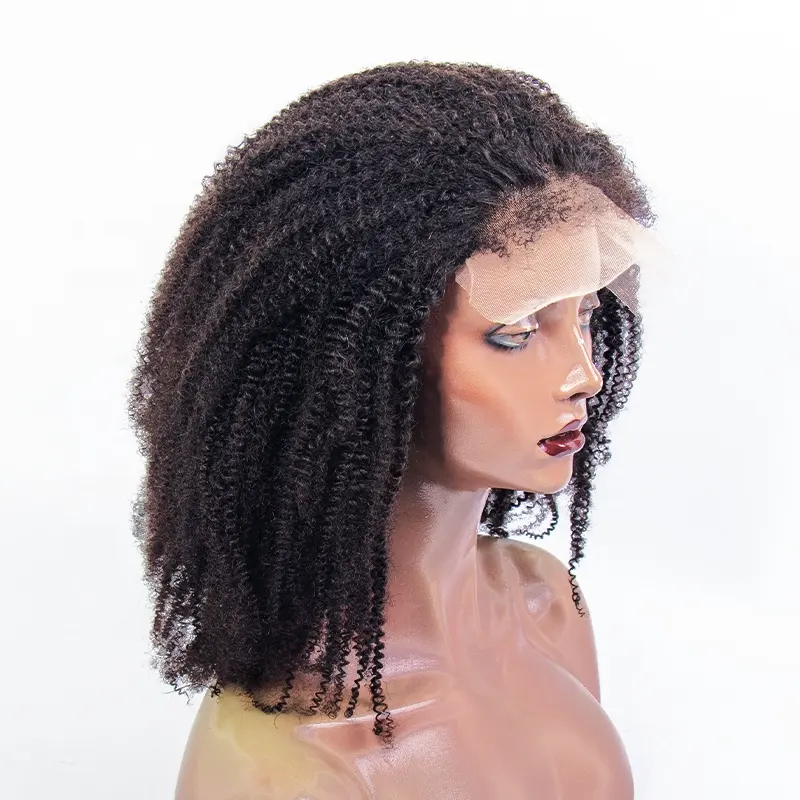 5x5 HD Closure perruques de cheveux humains pour femmes noires Afro mongol perruque de cheveux humains crépus bouclés pre-plucked densité 150%