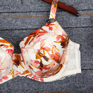 บราลูกไม้หรูหราขอบลูกไม้ คัพใหญ่ ฟองน้ำบาง คัพ <span class=keywords><strong>ABCDEF</strong></span> ไซส์พลัส ชุดชั้นในผู้หญิง ขายส่ง - Product Image 2