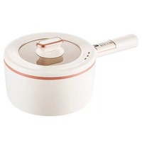 Marmite Électrique Tout-en-un 4L, Revêtement Céramique, 1000W, 9 Modes, Minuteur 24H, Maintien au Chaud 8H, 5 Niveaux de Puissance, Nettoyage Facile, Idéale Dortoir Étudiant et Maison