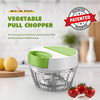Hoogwaardige roestvrijstalen milieuvriendelijke knoflookblender mini-hakselaar voedselverwerker aangepaste kleur logo groente vlees Smile Mom