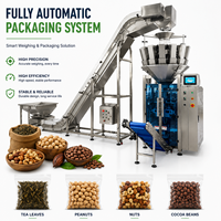 Peseuse combinée entièrement automatique à 14 têtes, thé, arachides, noix, remplissage de haricots au chocolat, machine d'emballage avec pondération