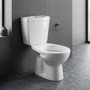 Inodoro de Cerámica Nano Irani de Dos Piezas con Doble Descarga, Montaje en Suelo, Sifón en S, Desodorizante, para Baño de Hotel - Product Image 5