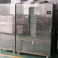 Industriële Plc Geregelde Roestvrijstalen Fruitgroentedroger 500Kg-2000Kg Capaciteit Tandwielkern Voedseldroger Voor Fruitproducten
