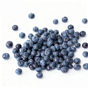 Arándanos Frescos <span class=keywords><strong>Congelados</strong></span> IQF al por Mayor, Certificados por HACCP, Paquete a Granel de 10 kg para la Venta - Product Image 2