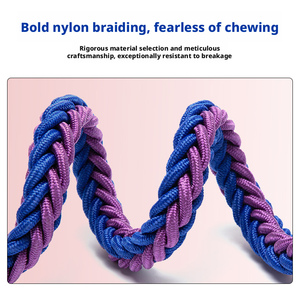Production rapide sur mesure : Ensemble collier et laisse pour <span class=keywords><strong>chien</strong></span> tressé à la main 8 brins, tressage renforcé 8 brins, quincaillerie métallique sécurisée pour - Product Image 3