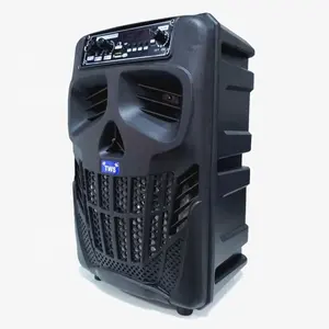 2020 Brand New Skull Candy Ontwerp 8 Inch Home Mobiele Draagbare <span class=keywords><strong>Stereo</strong></span> Digitale Bt Speaker - Product Image 1