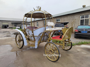 Chariot Citrouille Scintillant pour Balades Nocturnes - Élégante Carrosse <span class=keywords><strong>de</strong></span> Cendrillon pour Fêtes sur le Thème des Princesses - Product Image 1