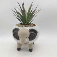 Pot kaktus Mini gajah rumah hewan lucu kartun nordic pot sukulen pot pot bunga kaktus keramik Bonsai