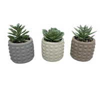 Vente en gros de petits pots de fleurs ronds en ciment Pots de fleurs d'intérieur avec plante verte en plastique