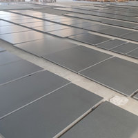 Granit Noir Absolu Naturel Premium pour Allée de Jardin et Hall d'Entrée