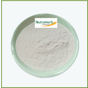 天然コーンスティープリキュアパウダーサプライヤーNutraherbCorn Extract Corn Steep Liquor Powder - Product Image 1