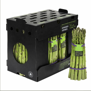 Custom Asparagus Packaging Folding PP Corrugated Plastic Danpla Box Corflute Correx Boxes