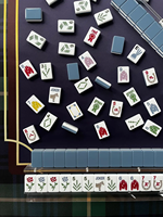 Tuiles de Mahjong américaines sur le thème du cheval, ensemble de Mahjong en acrylique à 2 couches, cadeau sur le thème équestre