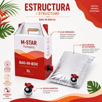 Conteneur d'emballage liquide Bag-in-Box 5L 10L 20L avec robinet distributeur – Vente en gros directe usine
