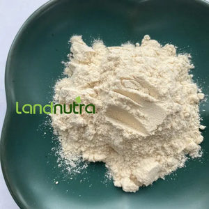 Landnutra penjualan terbaik bubuk Protein biji <span class=keywords><strong>Fava</strong></span> kualitas tinggi bubuk isolasi Protein kacang <span class=keywords><strong>Fava</strong></span> - Product Image 4