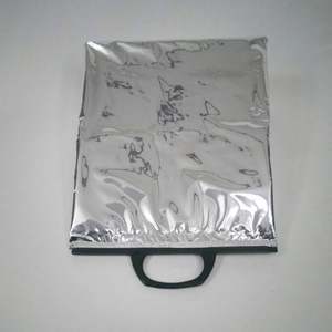 Bolsa Térmica Porta Alimentos con Logotipo Personalizado, Diseño Portátil, Aislamiento de Aluminio para Mascotas, Bolsa Refrigerante para Mariscos - Product Image 4