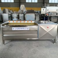 Laveuse industrielle automatique à rouleaux brosse pour légumes, pommes de terre, carottes, gingembre – Nettoyage pour la transformation alimentaire