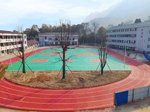 Revêtement antimicrobien INOLP Revêtement sportif Revêtement de piste de course hybride pour la protection de l'hygiène dans les écoles publiques - Product Image 5