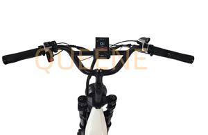 QUEENE/Nouveau 2026 Vélo électrique à suspension intégrale à cadre bas de haute qualité, pneus larges de <span class=keywords><strong>20</strong></span> <span class=keywords><strong>pouces</strong></span>, avec batterie double support - Product Image 5