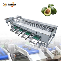 Professioneel automatisch rollen sorteersysteem voor appels, sinaasappels en ander citrus- en fruitproducten voor verwerkingslijnen
