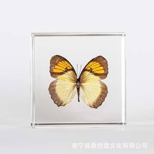 Cubo de Acrílico Transparente con Especímenes de Insectos, Decoración de Cristal con Estampado Animal, Regalo de San Valentín, Colección de Adornos - Product Image 6