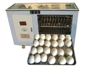 3600Pcs/Hour Automatic Pizza Bread Cake Cookies Ball Rolling Cutting Machine Dough Divider Rounder for Sale