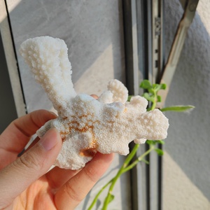 Factory Wholesale Price Promotion High Grade Coral Stone Flower Carving DIY Healing <b>Crystal</b> <b>Ornament</b> Feng Shui Gift - Product Image 4